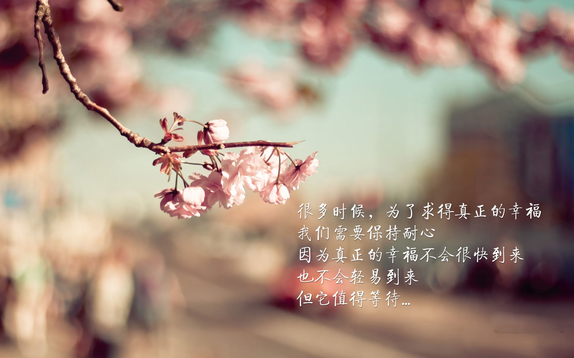 开云体育中国-年度焦点之战的唯一主角，奥亚尔萨瓦尔助利物浦斩落佛罗伦萨