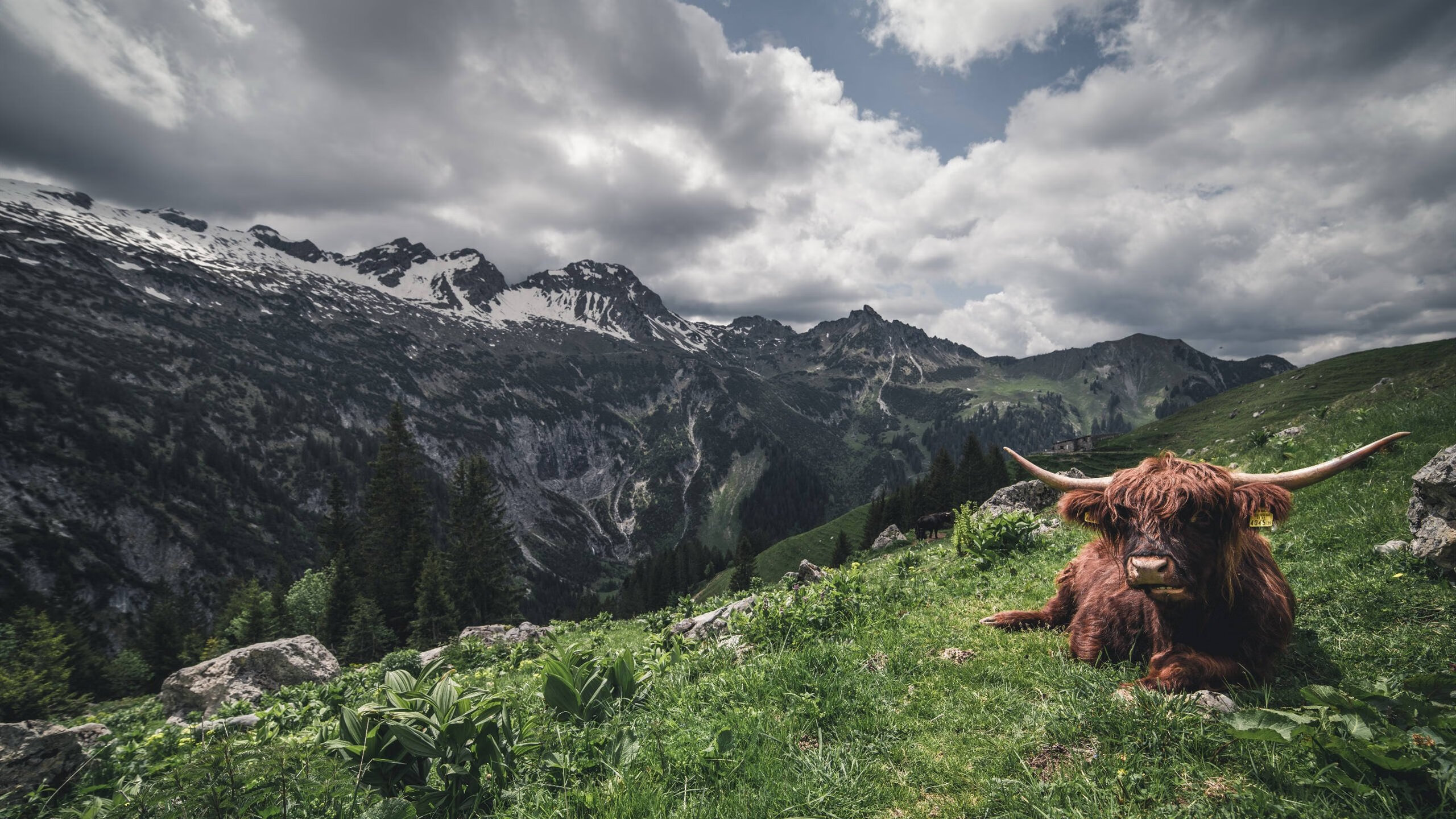 开云体育入口-您给出的关键词组合非常有趣—它混合了国家队赛事（世界杯）和俱乐部球队（比利亚雷亚尔）这恰恰是创作一篇唯一性文章的绝佳起点。我们可以将这种错位转化为一个充满想象力的故事核心