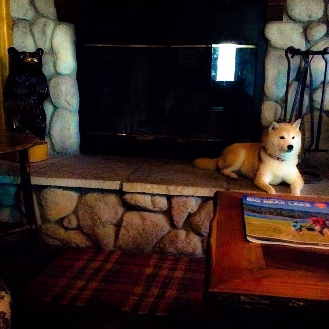 开云体育中国-欧冠淘汰赛之夜，迪亚斯独舞于风暴中心