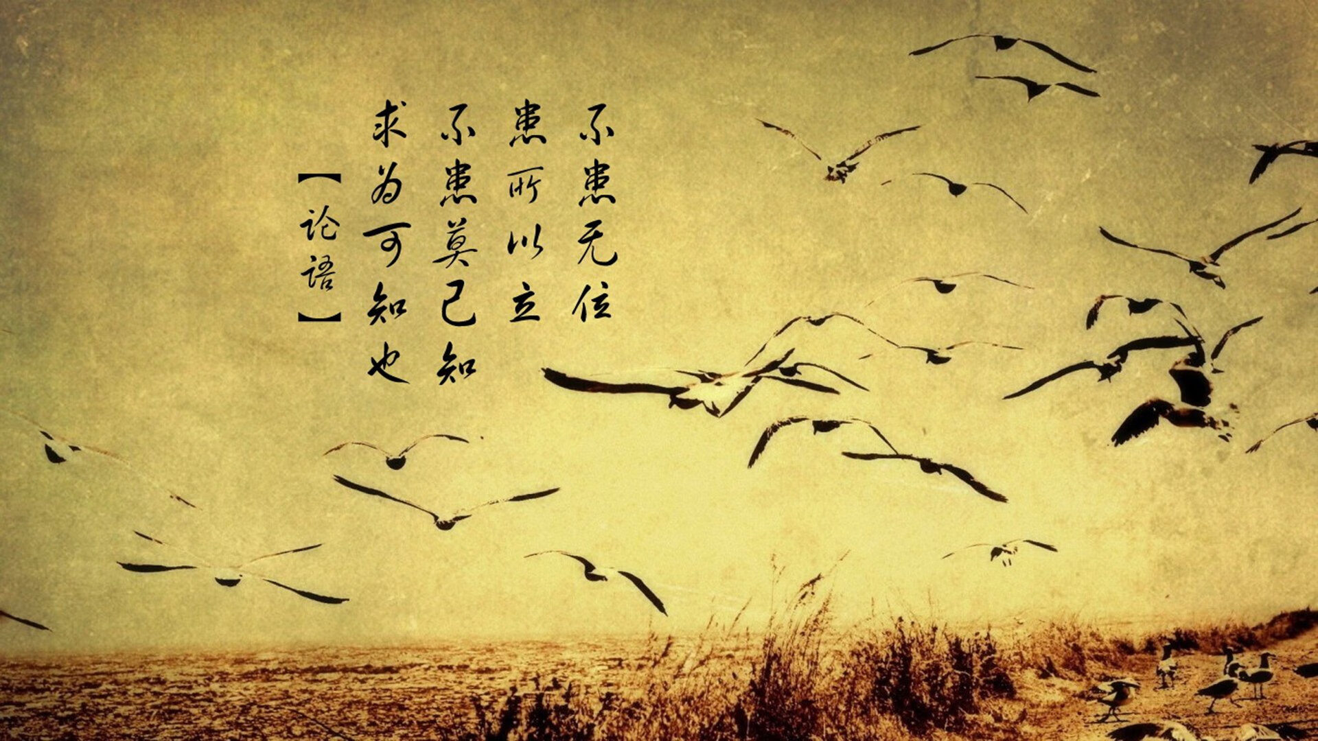 历史首战即终战！巴尔韦德引擎轰鸣，莱比锡红牛碾碎黄色潜水艇