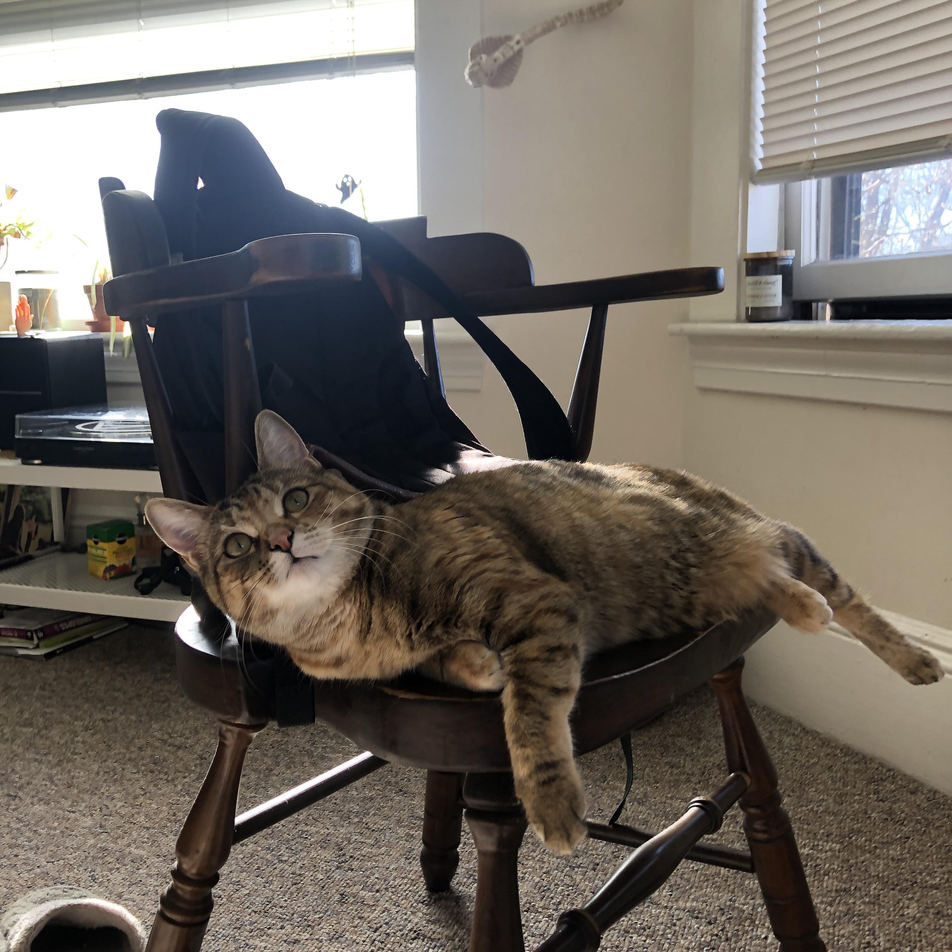 暴雨中的渔网,德里赫特如何用一场拉齐奥式爆发,绞杀了丹麦童话