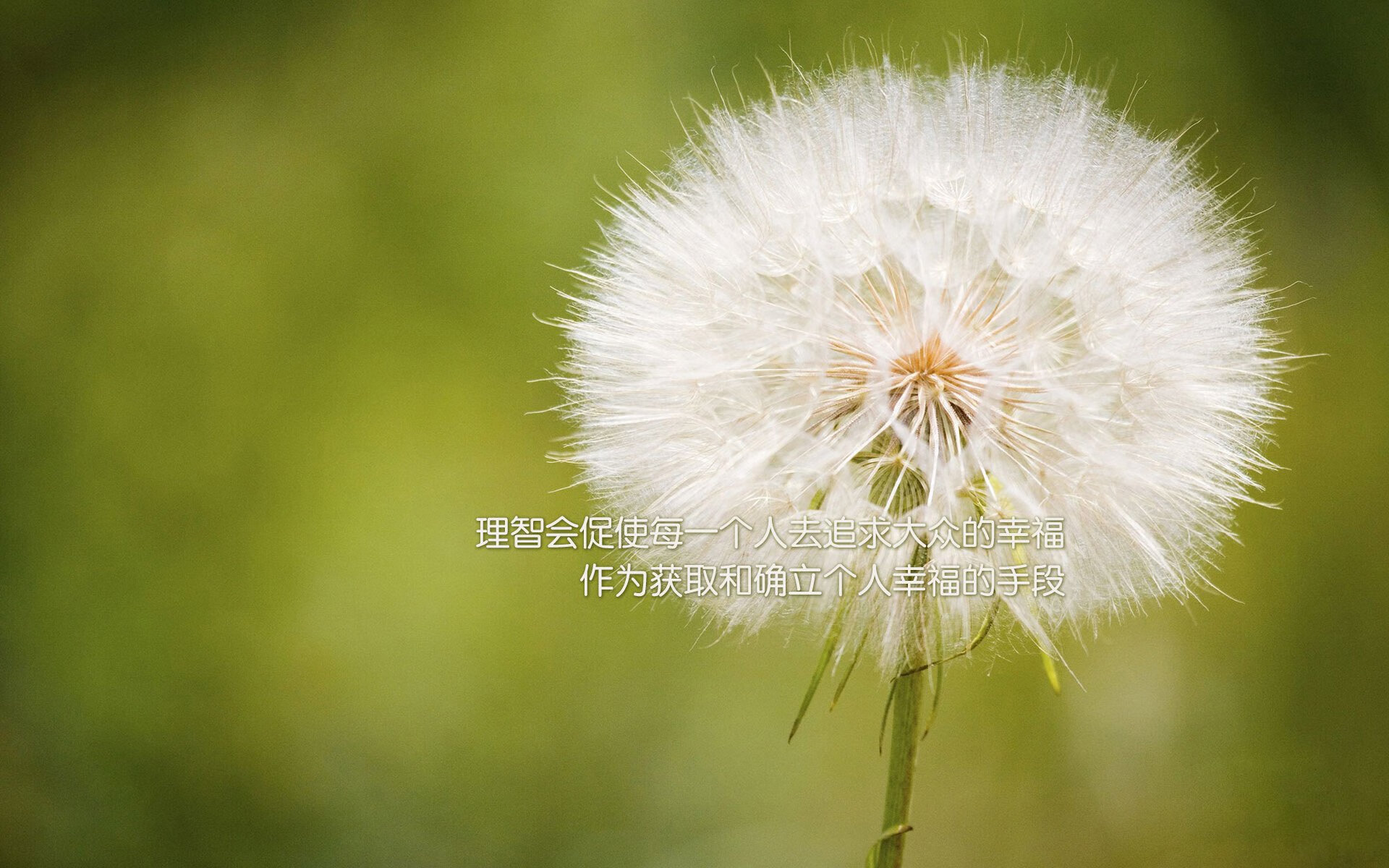 约基奇奏响交响乐,伦纳德的手术刀却切开了胜利的脉搏