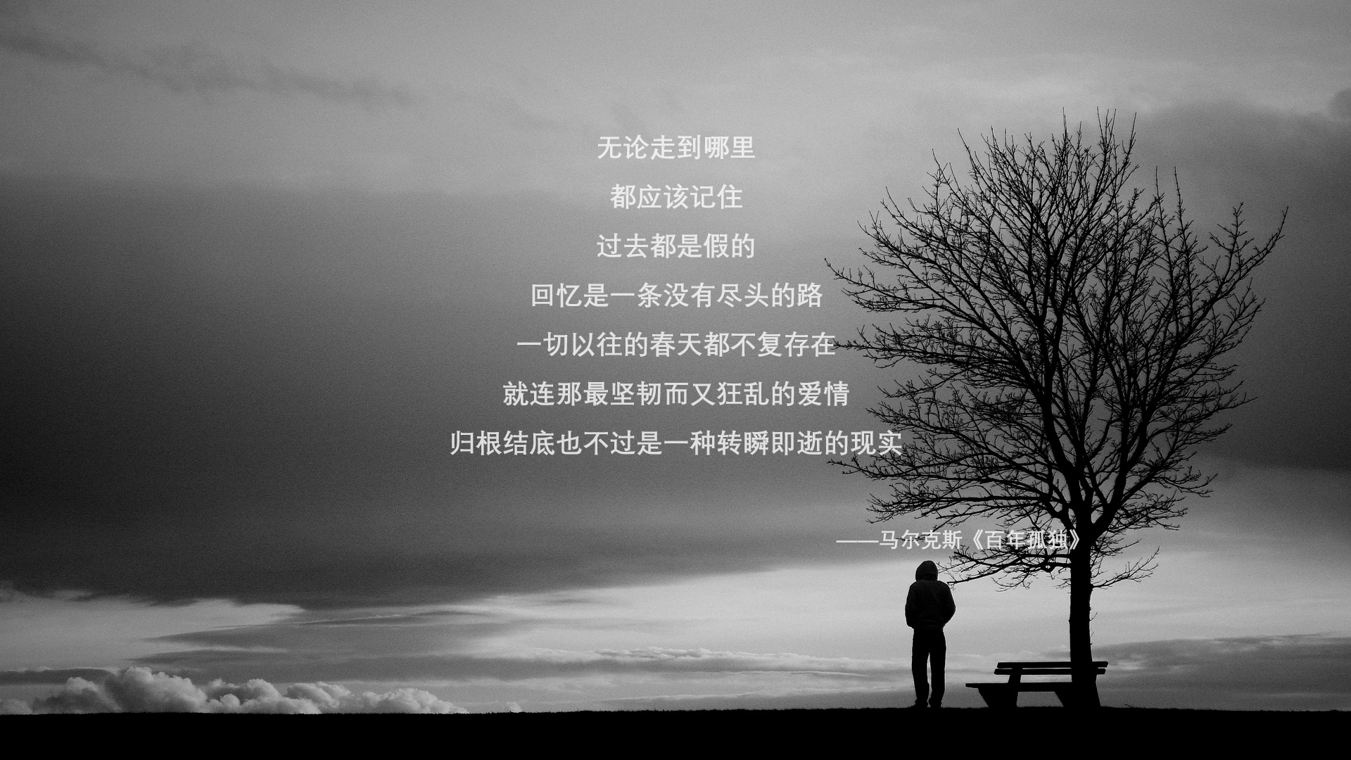 阳光与球网之间,一个特奥运动员如何在奥运前哨战中重写命运