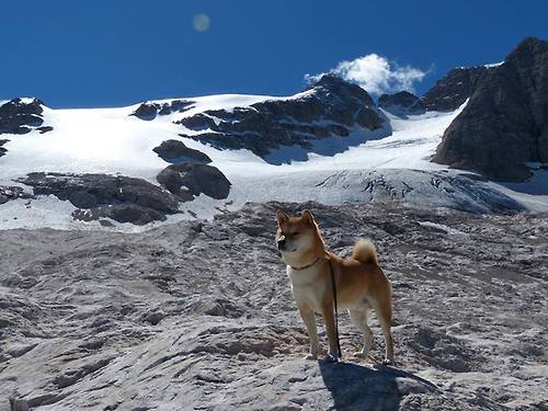 开云体育APP下载-马克西成为胜负手，鹈鹕打穿雷霆迎关键胜利