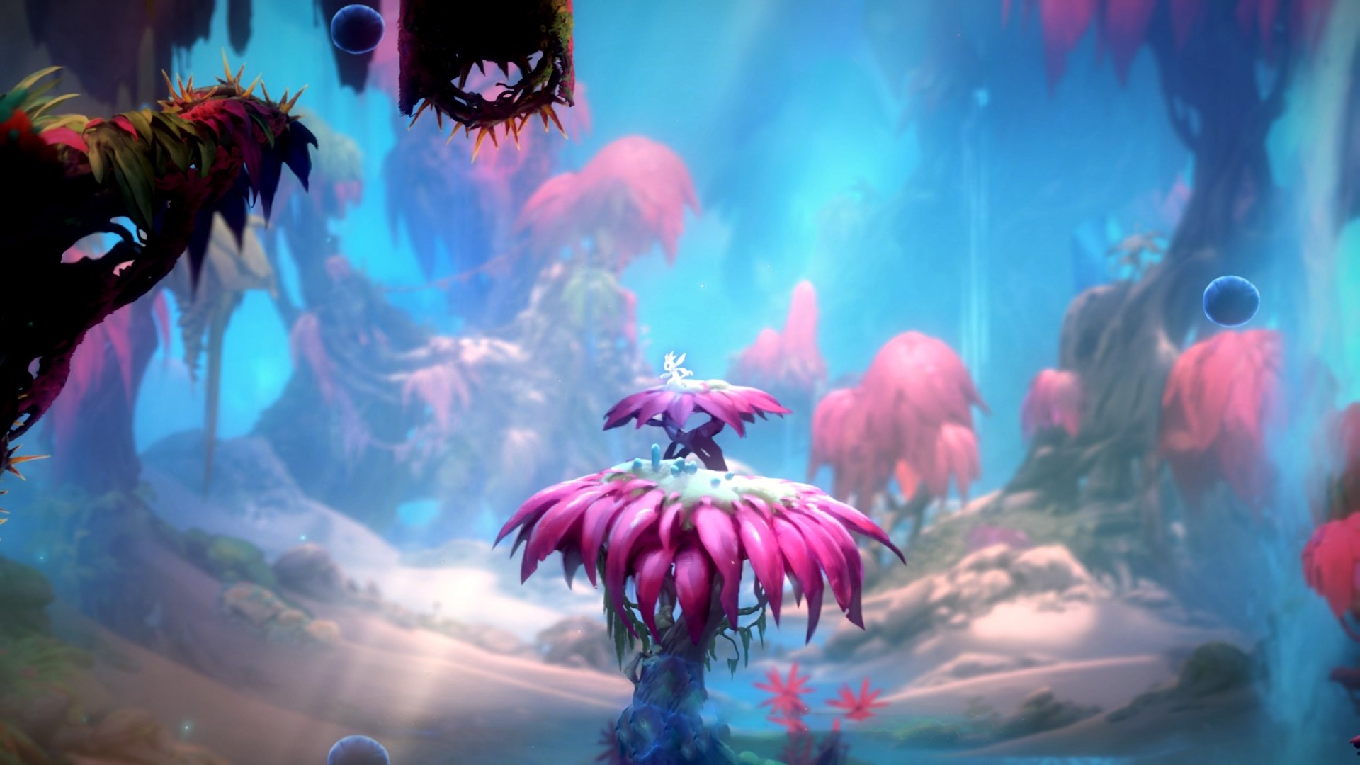 当红蓝条纹吞噬桑巴黄,奥斯梅恩在年度世纪之战的终极接管