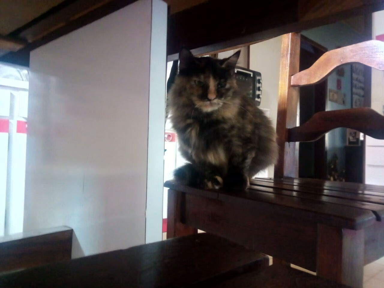 跨维度对决,当鹈鹕收割哲学遇上字母哥的接管艺术