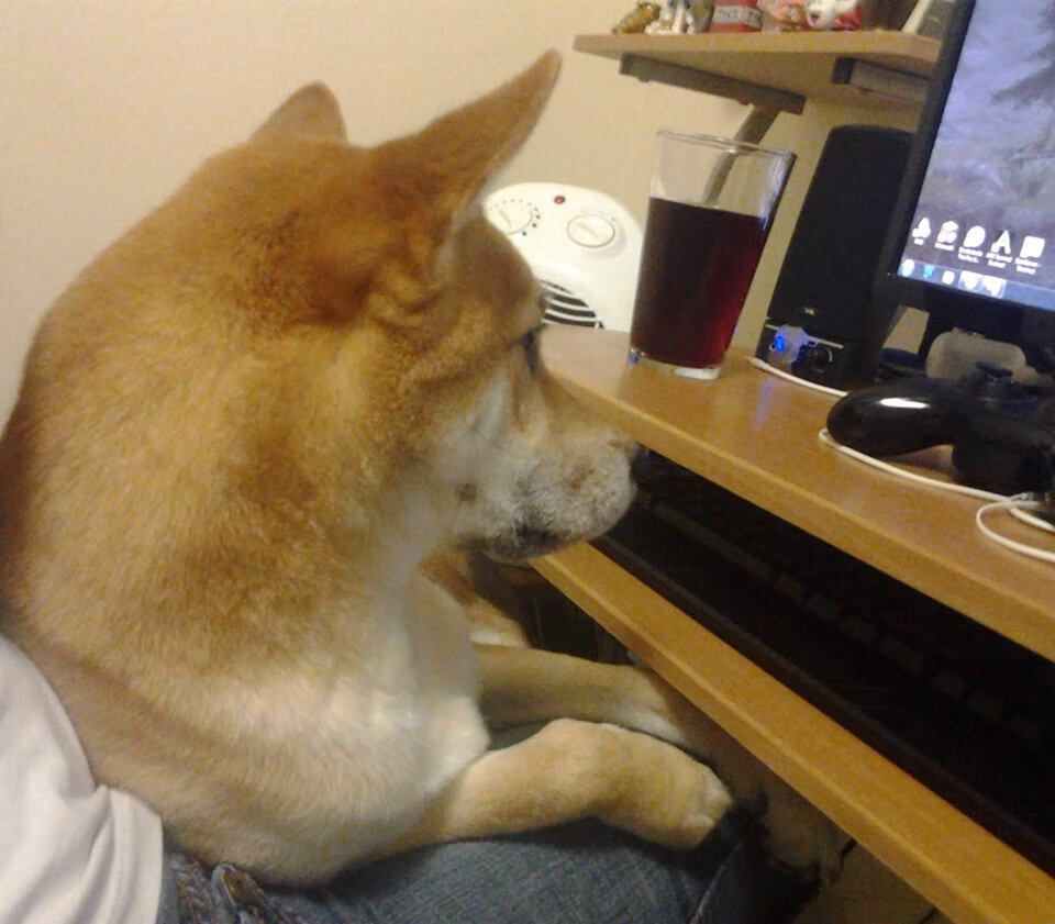 跨越半球的足球剧本，南非提前终结智利悬念，拉什福德却在西甲德比抢尽风头