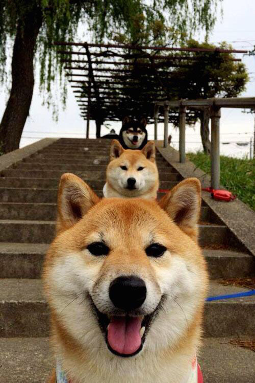 安菲尔德风暴登陆墨尔本，当利物浦成为澳大利亚的世界杯梦魇