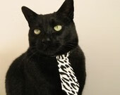 以下是为您创作的标题与正文